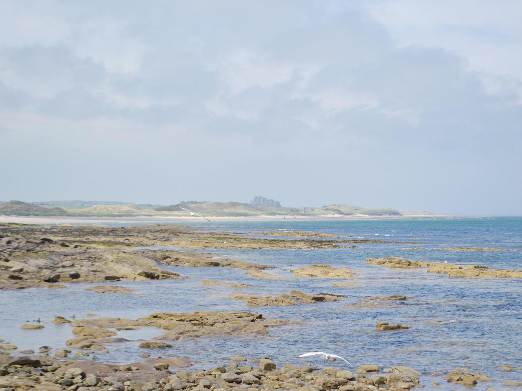 Daisy Cottage Seahouses Exterior photo